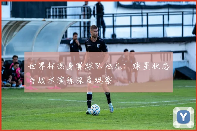 世界杯热身赛球队巡礼：球星状态与战术演练深度观察